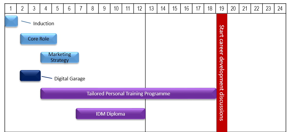Career development